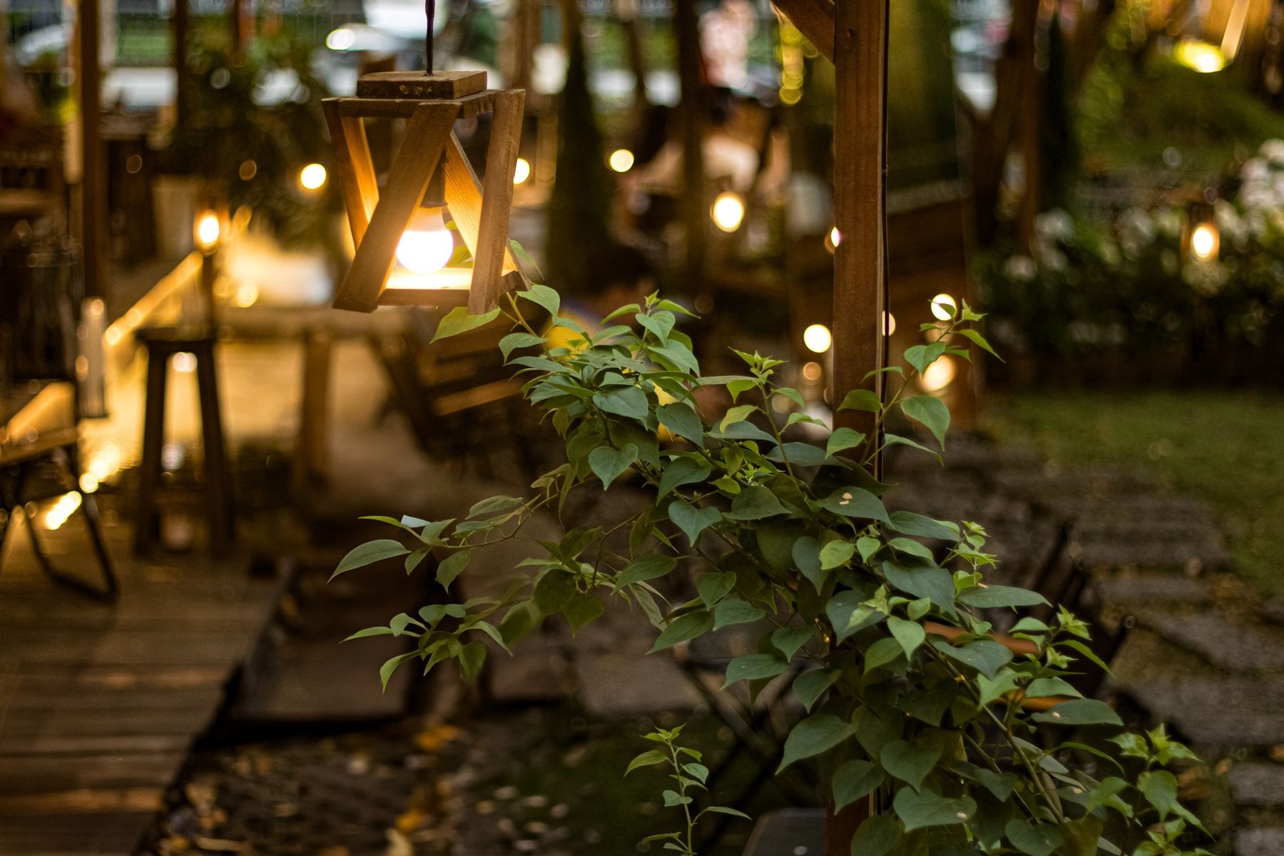 Landscape Lighting in Glendale AZ