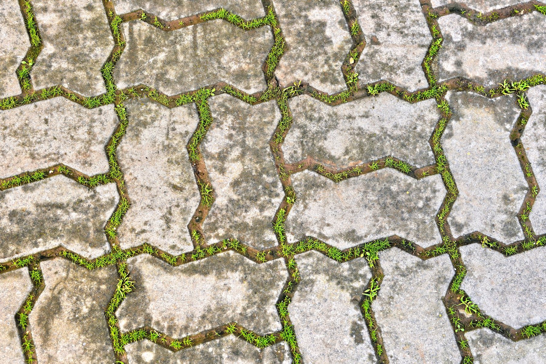 Travertine pavers & hardscape in Glendale, AZ